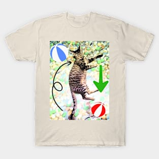 Cat Balls T-Shirt